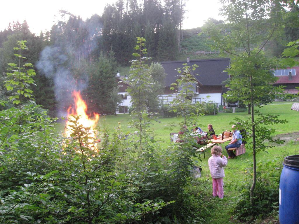 Ferienhaus Goestling Villa Göstling an der Ybbs Rom bilde