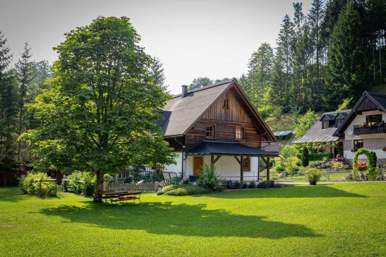 Ferienhaus Goestling Villa Göstling an der Ybbs Eksteriør bilde